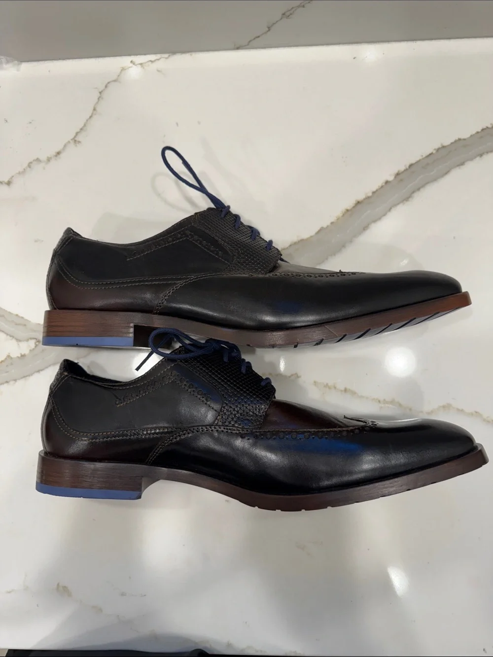 Stacy Adams Kaine Wingtip Dark Brown Leather Oxfords with Navy Laces Brand New